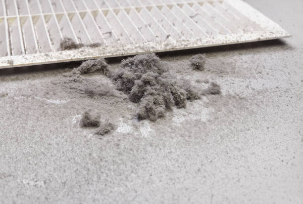 Best Professional Duct Cleaning Services  in Bellaire, TX